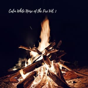 Calm White Noise of the Fire Vol. 1 - The White Noise Travelers