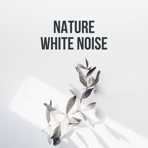 Nature White Noise for Sleep - Finnolia Sounds for Sleep