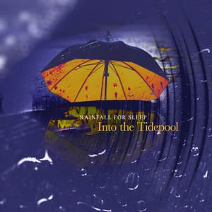 Into the Tidepool - Rainfall For Sleep