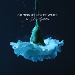 Calming Sounds of Water for Deep Meditation - Calming Waters Consort