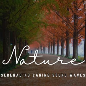 Barks and Whispers: Soundscapes for Dogs - Dog Relaxation