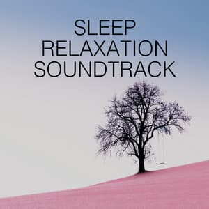Sleep Relaxation Soundtrack - Relaxing Chill Out Music