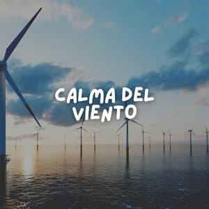Calma del Viento - Meditaciónessa