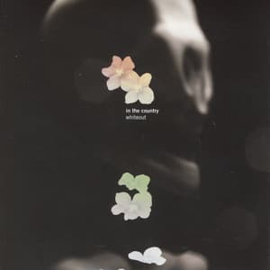 Whiteout - In The Country