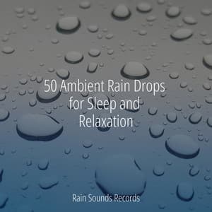 50 Ambient Rain Drops for Sleep and Relaxation - Sleepy Night Music
