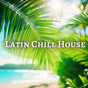 Ritmo Sin Fronteras: Latin Chill House Vibes 2024 - Pedro EL Loco