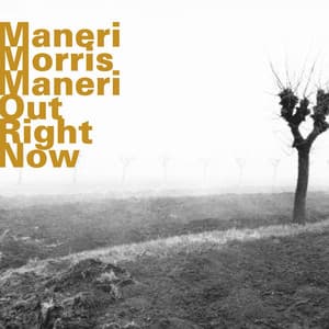 Out Right Now - Joe Maneri