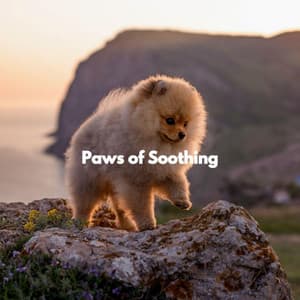 Paws of Soothing - Jazz Romántica para Hoteles