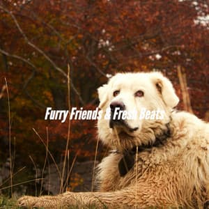 Furry Friends & Fresh Beats - Music for Dogs Moments