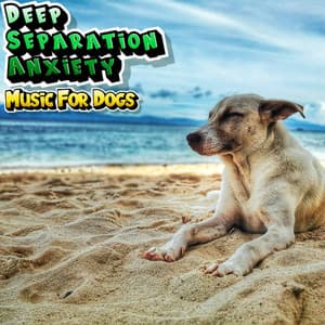 Dog Relaxation & Separation Anxiety Reducing Music - Deep Separation Anxiety Music For Dogs