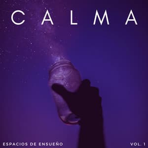 Calma: Espacios De Ensueño Vol. 1 - Somnoly Lofi Beats