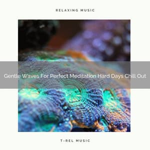 Gentle Waves For Perfect Meditation Hard Days Chill Out - Instant Relax