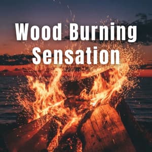 Wood Burning Sensation - Dinner Time Playlist