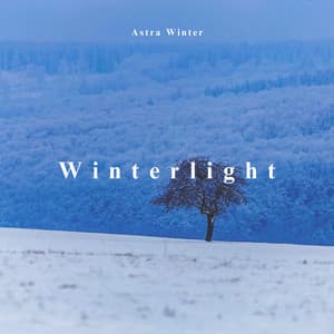 Winterlight: The Sleep of the Sky, Meditation - Astra Winter