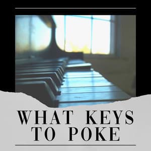 What Keys to Poke - Piano Bar