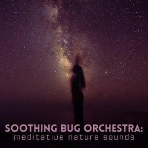 Soothing Bug Orchestra: Meditative Nature Sounds - Music of the Forest
