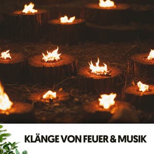 Sons de Feu et Musique : Braises en Harmonie - Cat Music