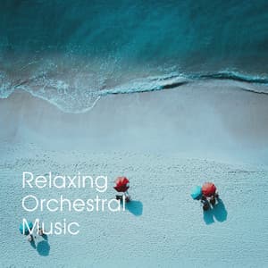 Relaxing Orchestral Music - Calm Music for Studying
