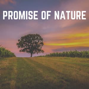 Promise of Nature - Nature's Noise