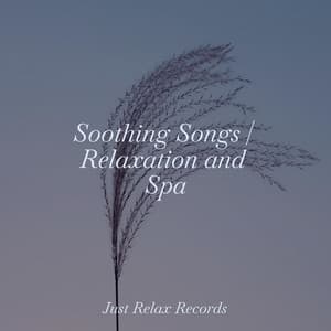 Soothing Songs | Relaxation and Spa - Thunderstorm Sound Bank