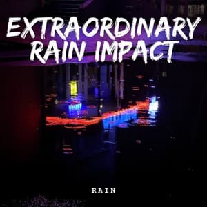 Rain: Extraordinary Rain Impact - Recorder Rain