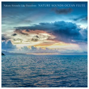 Nature Sounds Ocean Flute - Nature Sounds Like Freedom