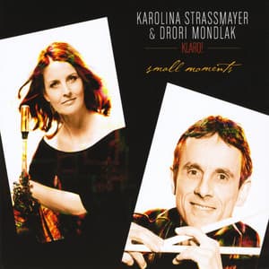 Small Moments - Drori Mondlak