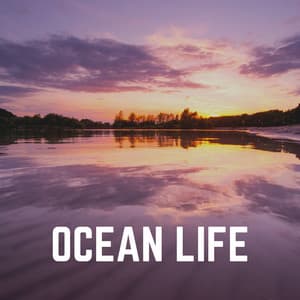 Ocean Life - Calming Ocean