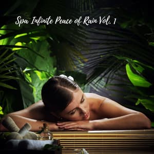 Spa Infinite Peace of Rain Vol. 1 - Rain Paris