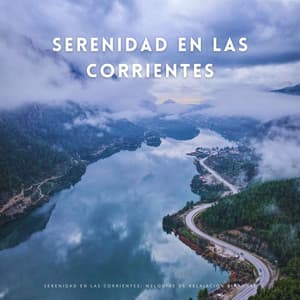 Serenidad En Las Corrientes: Melodías De Relajación Binaural - Sistemas Binaurales