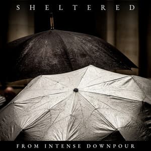 Sheltered from Intense Downpour - Rain Sounds HD