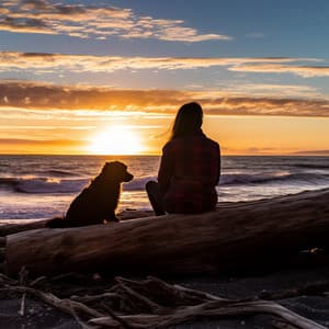 Ayudas De Tranquilidad Para Perros En La Playa: Olas Relajantes Para Alivio Del Estrés - Música pacífica