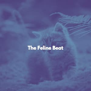 The Feline Beat - Cat Music Experience
