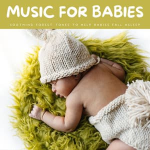 Music For Babies: Soothing Forest Tones To Help Babies Fall Asleep - Baby Shark