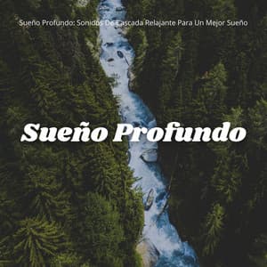 Sueño Profundo: Sonidos De Cascada Relajante Para Un Mejor Sueño - Cascada en la distancia
