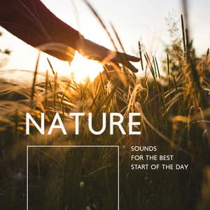 Nature Sounds for the Best Start of the Day - Serenity Music Academy