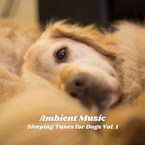 Ambient Music: Sleeping Tunes for Dogs Vol. 1 - Dog Calming Music