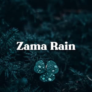 Delightful Rain - Zama Rain