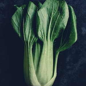 Echoes of Fun Recipes - Cheerful Instrumental Cafe Jazz