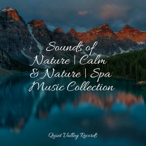 Sounds of Nature | Calm & Nature | Spa Music Collection - Spa Relaxation