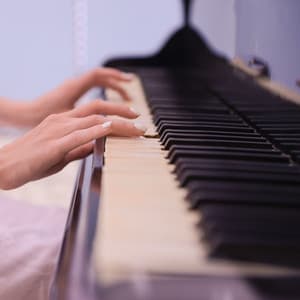 Enchanted Melodies: A Piano Journey - Relaxing Piano Jazz Music Ensemble