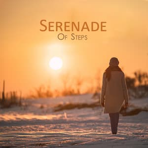 Serenade Of Steps: Harmonic Serenity for Cold Evenings, Cozy Winter Walks - Jazz Instrumentals