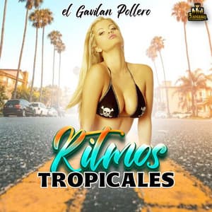 El Gavilan Pollero - Ritmos Tropicales
