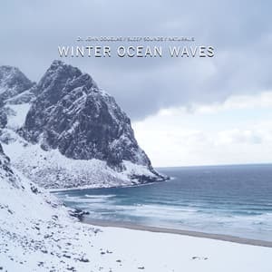 Winter Ocean Waves - Dr. John Douglas