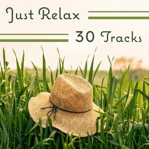 Just Relax: 30 Tracks, Experience Endless Relaxation with Nature Sounds, Relieve Stress, Anxiety & Overcome Depression - Self Improvement Consort