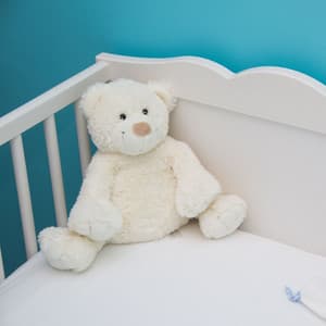 Hidden Slumbers Unveiled - Arctic Comfort