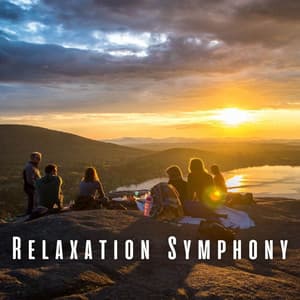 Relaxation Symphony: Harmonious Nature Sounds and Chill Vibes - Four Winds