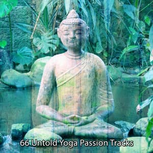 66 Untold Yoga Passion Tracks - Meditation Group