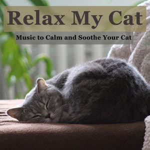 Relax My Cat: Music to Calm and Soothe Your Cat - RelaxMyCat