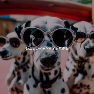 わんこのベッドタイム用音楽 - Hotel Lounge Deluxe